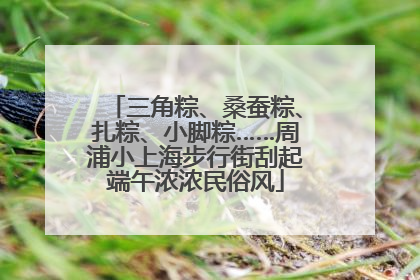 三角粽、桑蚕粽、扎粽、小脚粽……周浦小上海步行街刮起端午浓浓民俗风