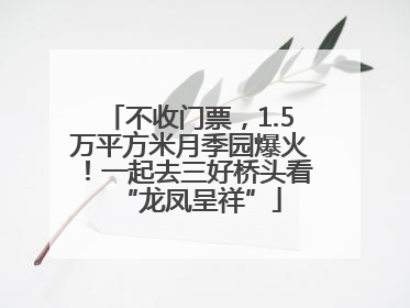 不收门票，1.5万平方米月季园爆火！一起去三好桥头看“龙凤呈祥”