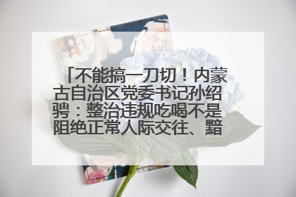 不能搞一刀切！内蒙古自治区党委书记孙绍骋：整治违规吃喝不是阻绝正常人际交往、黯淡人间烟火