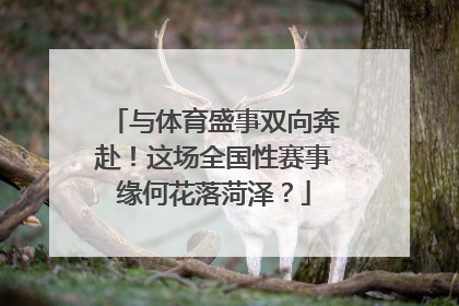 与体育盛事双向奔赴！这场全国性赛事缘何花落菏泽？