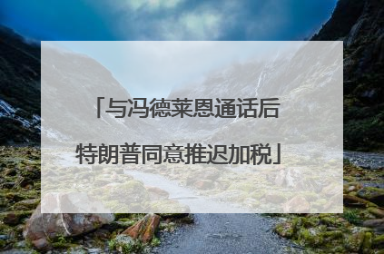 与冯德莱恩通话后 特朗普同意推迟加税