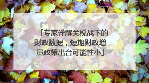 专家详解关税战下的财政数据，短期财政增量政策出台可能性小