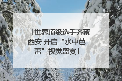 世界顶级选手齐聚西安 开启“水中芭蕾”视觉盛宴