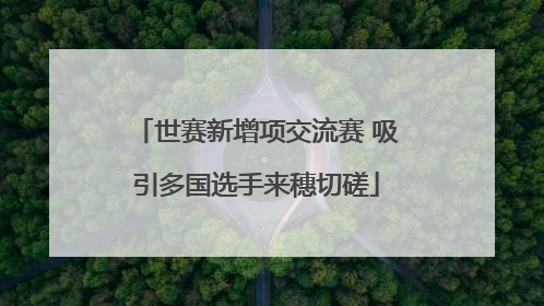 世赛新增项交流赛 吸引多国选手来穗切磋