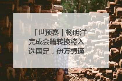 世预赛｜杨明洋完成会籍转换将入选国足，伊万想通了要打双后腰？
