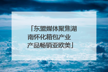 东盟媒体聚焦湖南怀化箱包产业 产品畅销亚欧美