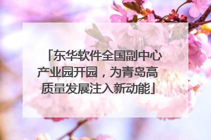 东华软件全国副中心产业园开园，为青岛高质量发展注入新动能