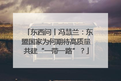 东西问丨冯慧兰：东盟国家为何期待高质量共建“一带一路”？
