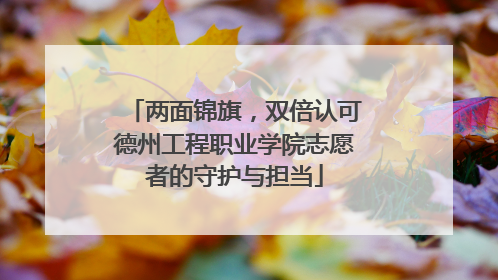 两面锦旗，双倍认可德州工程职业学院志愿者的守护与担当