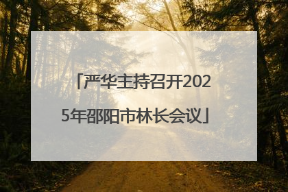 严华主持召开2025年邵阳市林长会议
