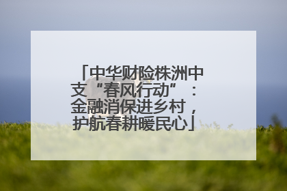 中华财险株洲中支“春风行动”：金融消保进乡村，护航春耕暖民心
