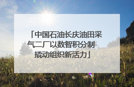 中国石油长庆油田采气二厂以数智积分制 撬动组织新活力