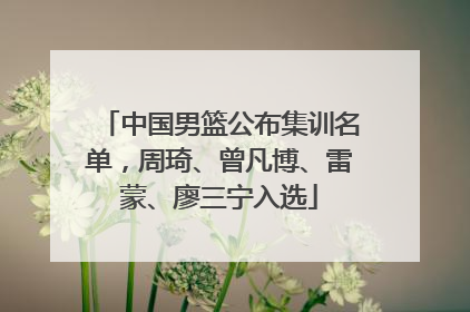 中国男篮公布集训名单，周琦、曾凡博、雷蒙、廖三宁入选