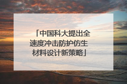 中国科大提出全速度冲击防护仿生材料设计新策略