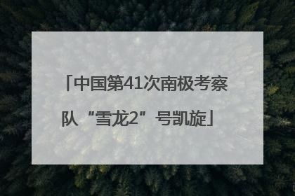 中国第41次南极考察队“雪龙2”号凯旋