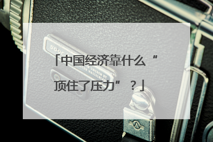 中国经济靠什么“顶住了压力”？
