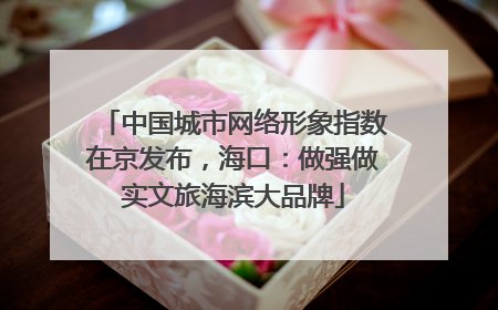 中国城市网络形象指数在京发布，海口：做强做实文旅海滨大品牌