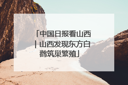 中国日报看山西｜山西发现东方白鹳筑巢繁殖