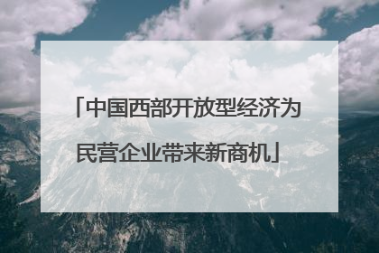 中国西部开放型经济为民营企业带来新商机