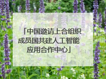 中国邀请上合组织成员国共建人工智能应用合作中心