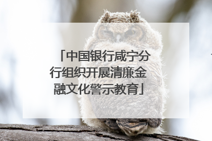 中国银行咸宁分行组织开展清廉金融文化警示教育
