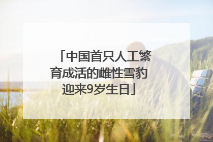 中国首只人工繁育成活的雌性雪豹迎来9岁生日