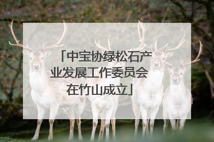 中宝协绿松石产业发展工作委员会在竹山成立