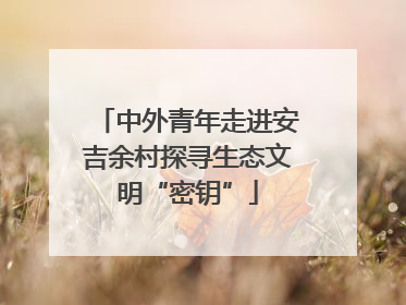 中外青年走进安吉余村探寻生态文明“密钥”