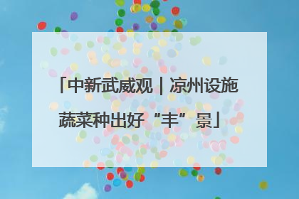 中新武威观｜凉州设施蔬菜种出好“丰”景