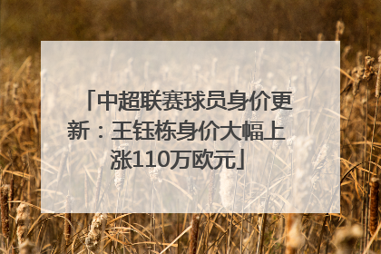 中超联赛球员身价更新：王钰栋身价大幅上涨110万欧元