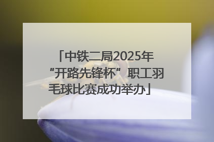 中铁二局2025年“开路先锋杯”职工羽毛球比赛成功举办