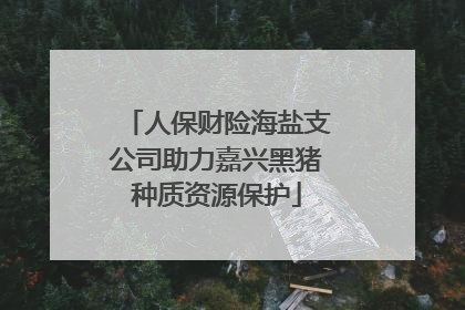 人保财险海盐支公司助力嘉兴黑猪种质资源保护