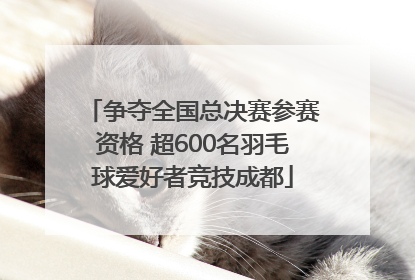 争夺全国总决赛参赛资格 超600名羽毛球爱好者竞技成都