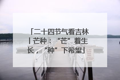 二十四节气看吉林丨芒种：“芒”着生长，“种”下希望