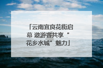云南宜良花街启幕 邀游客共享“花乡水城”魅力