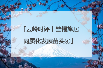 云岭时评丨警惕旅居同质化发展苗头④