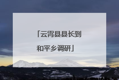 云霄县县长到和平乡调研