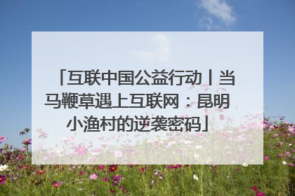 互联中国公益行动丨当马鞭草遇上互联网：昆明小渔村的逆袭密码
