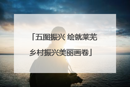 五图振兴 绘就莱芜乡村振兴美丽画卷