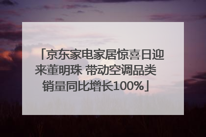 京东家电家居惊喜日迎来董明珠 带动空调品类销量同比增长100%