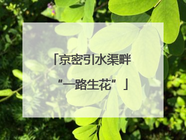 京密引水渠畔“一路生花”