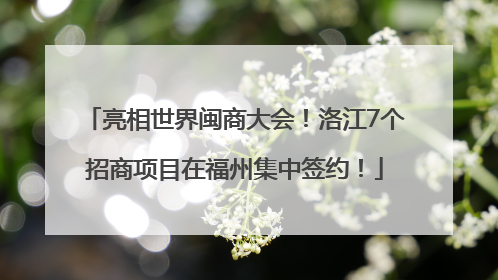 亮相世界闽商大会！洛江7个招商项目在福州集中签约！