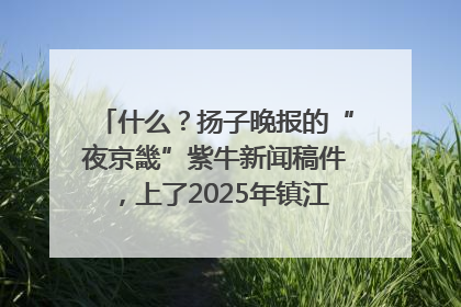 什么？扬子晚报的“夜京畿”紫牛新闻稿件，上了2025年镇江中考模拟卷！