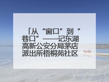 从“窗口”到“巷口”——记东湖高新公安分局茅店派出所梧桐苑社区民警樊艳玲