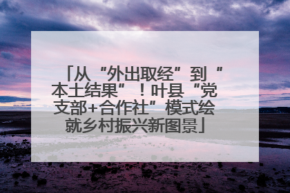 从“外出取经”到“本土结果”！叶县“党支部+合作社”模式绘就乡村振兴新图景