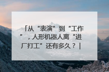 从“表演”到“工作”，人形机器人离“进厂打工”还有多久？｜机器人商业新纪元