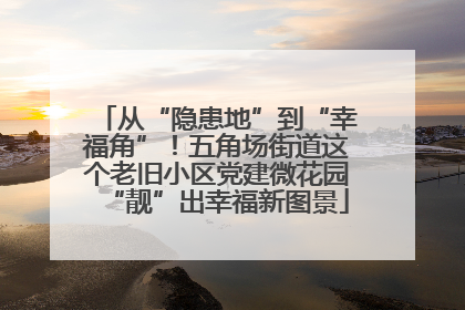 从“隐患地”到“幸福角”！五角场街道这个老旧小区党建微花园“靓”出幸福新图景