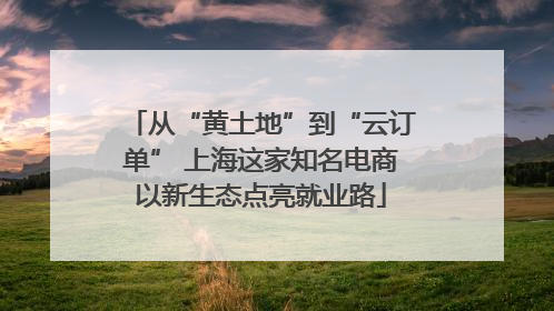 从“黄土地”到“云订单” 上海这家知名电商以新生态点亮就业路