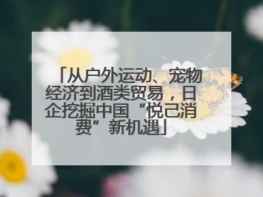 从户外运动、宠物经济到酒类贸易，日企挖掘中国“悦己消费”新机遇