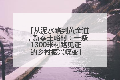 从泥水路到黄金道，新泰王峪村：一条1300米村路见证的乡村振兴蝶变